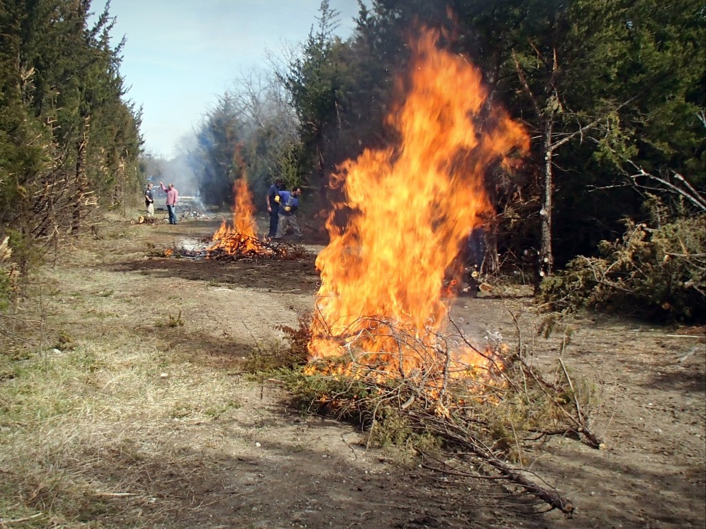 Lehigh burning brush